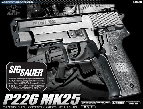 Academy korea scale spring - 1:1,