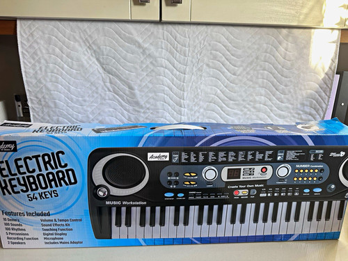 Electric keyboard keys - keyboard,